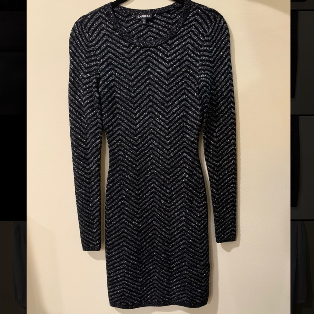 Express Black & Silver Stripe Fitted Dress